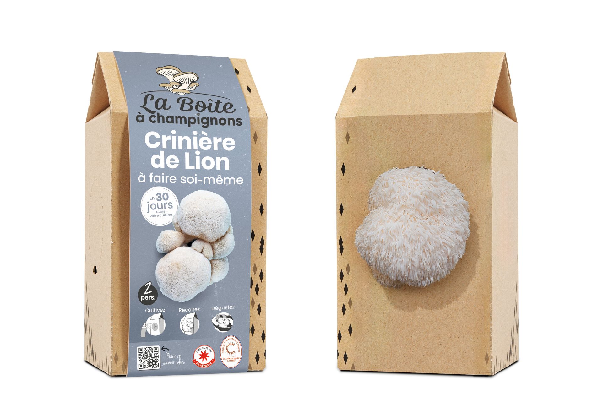 Licorne Avec Crinière Colorée Et Longue Crinière Debout Sur Une Ai